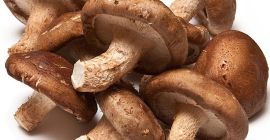 Morel jest bogaty w składniki odżywcze, według oznaczenia Morchella