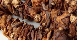 Nazwa produktu Zdrowy naturalny grzyb Ganoderma lucidum dla zdrowia