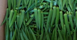 NAJLEPSZA ŚWIEŻA OKRA Z POŁUDNIOWEJ AFRYKI 1, Najwyższa jakość