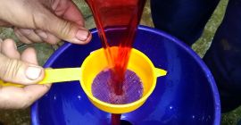 Muszę sprzedać Muscat Ottonel, Merlot i Musztarda Winogrona oraz