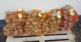 kupę towar – ziemniaki jadalne preferowane odmiany –bialy i