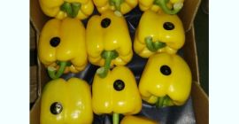 Cena i kalibry do negocjacji. Aby uzyskać więcej informacji,