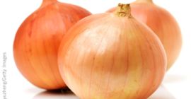 Fresh harvest of red and yellow onion available for