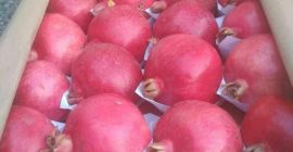 Wyselekcjonowany granat wysokiej jakości. Posortowane i zapakowane w drewniane