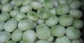 Sprzedam kapustę jesienną ... 0,7 lei / kg