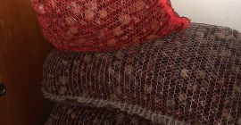 Dzień dobry. Mam do szpredania kasztany na skup 100kg