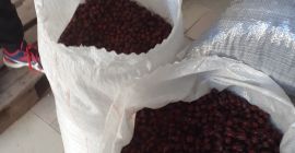 Witam, mamy na stanie 45 ton wysokiej jakości owoców