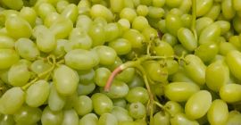 Pilnie -Do sprzedania winogrona bez pestki ,15 kal. w