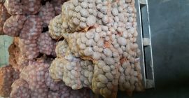 Ziemniak jadalny Wineta- bardzo smaczny. Pakowany 15kg -30kg. Cena