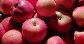 Sprzedaję jabłka ionatan, idared i florina. sędzia Arges, gmina