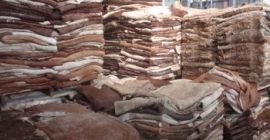 SKÓRA OSŁA Skóry zwierzęce i skóry Whatsapp: +13236413248 Dodaj