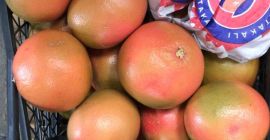 продажа грейпфрута из Турции Доставка прямо со склада. для