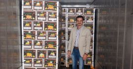 Możliwość dostawy: 16000 kartonów / kartonów dziennie Opakowanie i