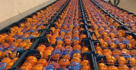 W Aria Lotus Atlas dostarczamy najwyższej jakości owoce dystrybutorom