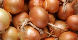Sprzedaje cebulę doskonałej jakości, nadającą się do długotrwałego przechowywania,