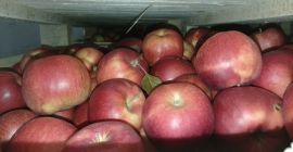 Idaret najidaret gloster ilości cało samochodowe możliwość sortowania