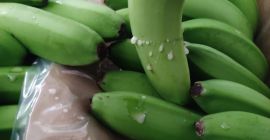 Из Турции оптом продажа Бананов!!!! Мы продаем нашу продукцию