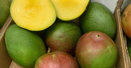Witam, Posiadam na sprzedaż mango w klasie II pochodzenia