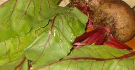 Buraki: -Dostawa dostępna: Okręg Cluj, obszar Cluj-Napoca -Zadzwoń, aby