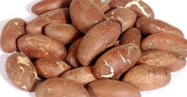 JoshWhale Resources to nigeryjska firma zajmująca się handlem rolnym