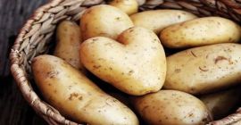 Firma BUXORO AGRO EKSPORT zajmuje się generalnym importem i