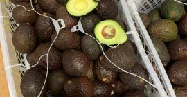 Witam, Posiadam na sprzedaż Awokado Hass w hurtowych ilościach.