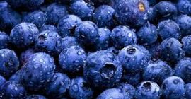 Sprzedam borówki hurtowo. Ukraina. Poszukujemy partnerów biznesowych w Polsce.