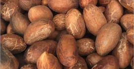 PRODUKT: ORZECHY KOLA POCHODZENIE: KAMERUN SPECYFIKACJA: Białko surowe (N