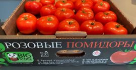 Agrofirm Bigstore oferuje produkt przyjazny dla środowiska, pomidory odmian