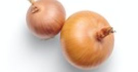 Witam Poszukuję producentów cebuli niefazerowanej na szczypior. Nawiążę stałą