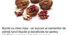 Sprzedaję jądro orzecha tureckiego czerwonego za maksymalnie 10 kg