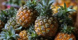 Sprzedam ananasy z Ekwadoru ilości hurtowe. Email: Info@agriazula.es, tel: