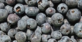 Sprzedam borówkę amerykańską ilości hurtowe. Kraj pochodzenia: Hiszpania, Maroko,