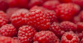 Sprzedam maliny ilości hurtowe. Kraj pochodzenia: Hiszpania, Maroko. Email: