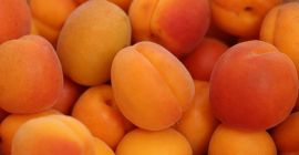 Sprzedam morele ilości hurtowe. Kraj pochodzenia: Hiszpania, Maroko, Grecja.