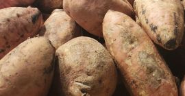 BATATA Dominicana. Regionalnie znany również jako boinato lub camote.