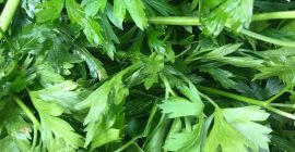 Sprzedam natkę pietruszki , piekny ciemny zielony drobny liść