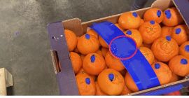 Rozmiar -1-XX; 1-X, 2