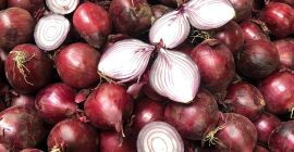 Red onions 30 tons of red 40/60mm 30 tons