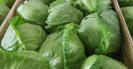 Dobry dzień. Przesyłam Państwu naszą propozycję. Jesteśmy macedońską firmą