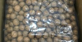 Witam, sprzedajemy egzotyczne, naturalne nieprzetworzone orzechy makadamia w łupinie