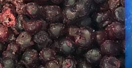 Sourcherry pestkowe Oblacinska Jakość A Ilość 40 ton gotowe