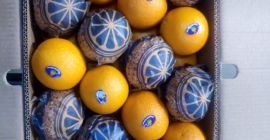 Orange Valencia: karton - 14,5 kg, 1664 pudełka, waga