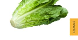 We are Best Import Srl posiadamy ofertę cenową na