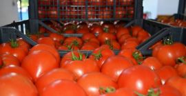 Produkt posiada atest do sprzedaży w całej Europie, jest