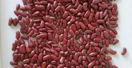 Witam, nasza firma PPZ Sława Sp. z o.o. od