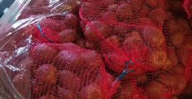 Smaczne Buraki Ćwikłowe Bez białych wybarwień w środku Myte