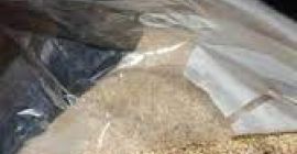 Białe nasiona sezamu 2021-zbiór, 50 kg worków plastikowych, FOB,