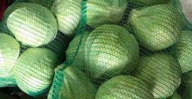 Kapusta biała 1 klasa Waga głowy: od 0,8 kg