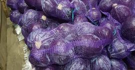 Kapusta czerwona 1 klasa. Waga głowy: od 1 kg